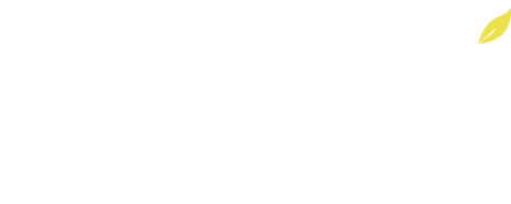 嘟嘟瓜16年美业经验
