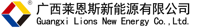 广西莱恩斯新能源有限公司