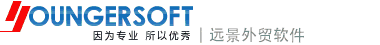 外贸软件