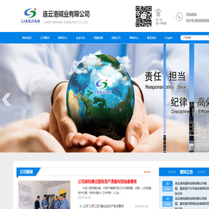 连云港碱业有限公司
