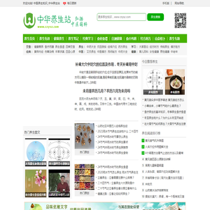 中华养生站专注于中医经络穴位,中医药养生知识笔记的网站