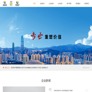 深圳资产管理有限公司