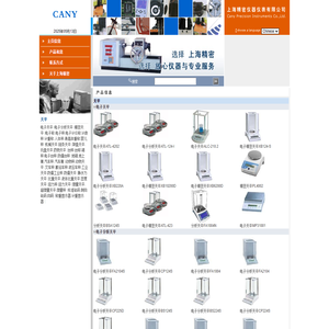 上海精密仪器仪表有限公司