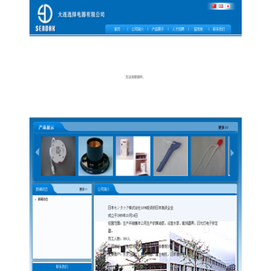 大连选择电器有限公司