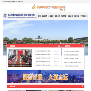 天水市经济发展投融资（集团）有限公司