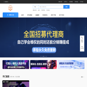 打假