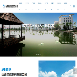 山西诺成制药有限公司