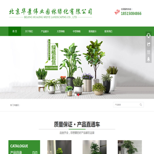 北京绿植租赁