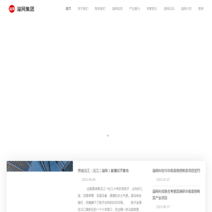 溢网科技集团