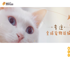 宠物出国