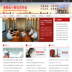 海南省小额信贷协会
