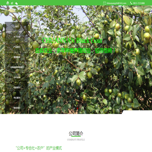 宜宾吉森农业开发有限公司