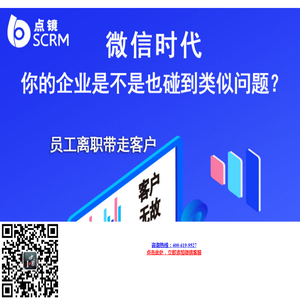 点镜SCR系统