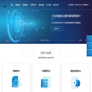 小台风信息科技