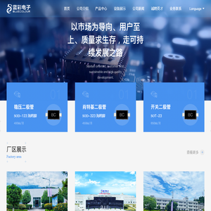四川蓝彩电子科技有限公司