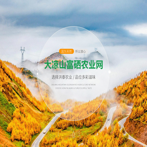 大凉山电商.cn